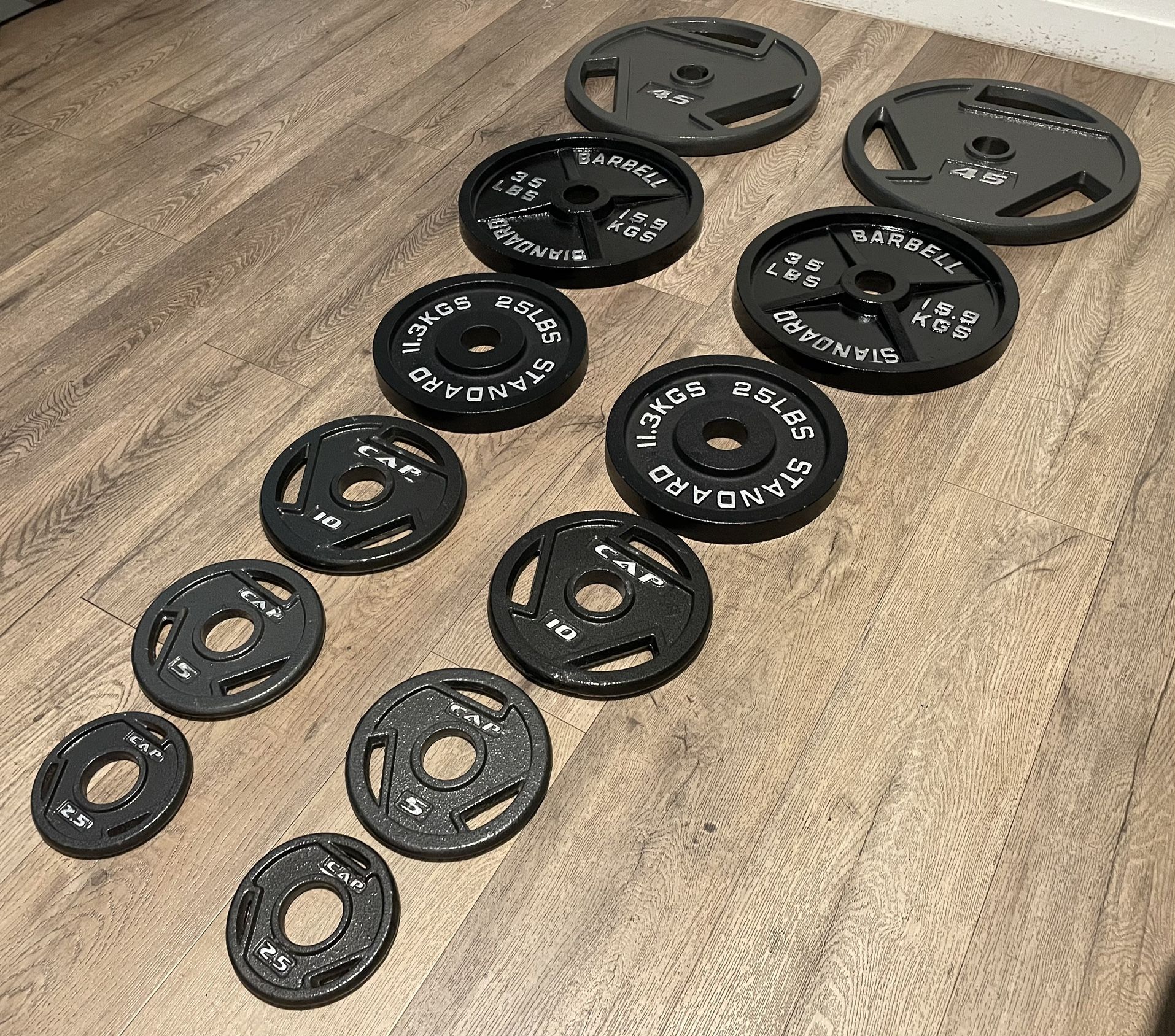 Brand NEW Full Set Of Olympic Weight Plates [Cast iron = 245 lbs]