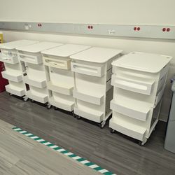Mobile Lab Cart $25 