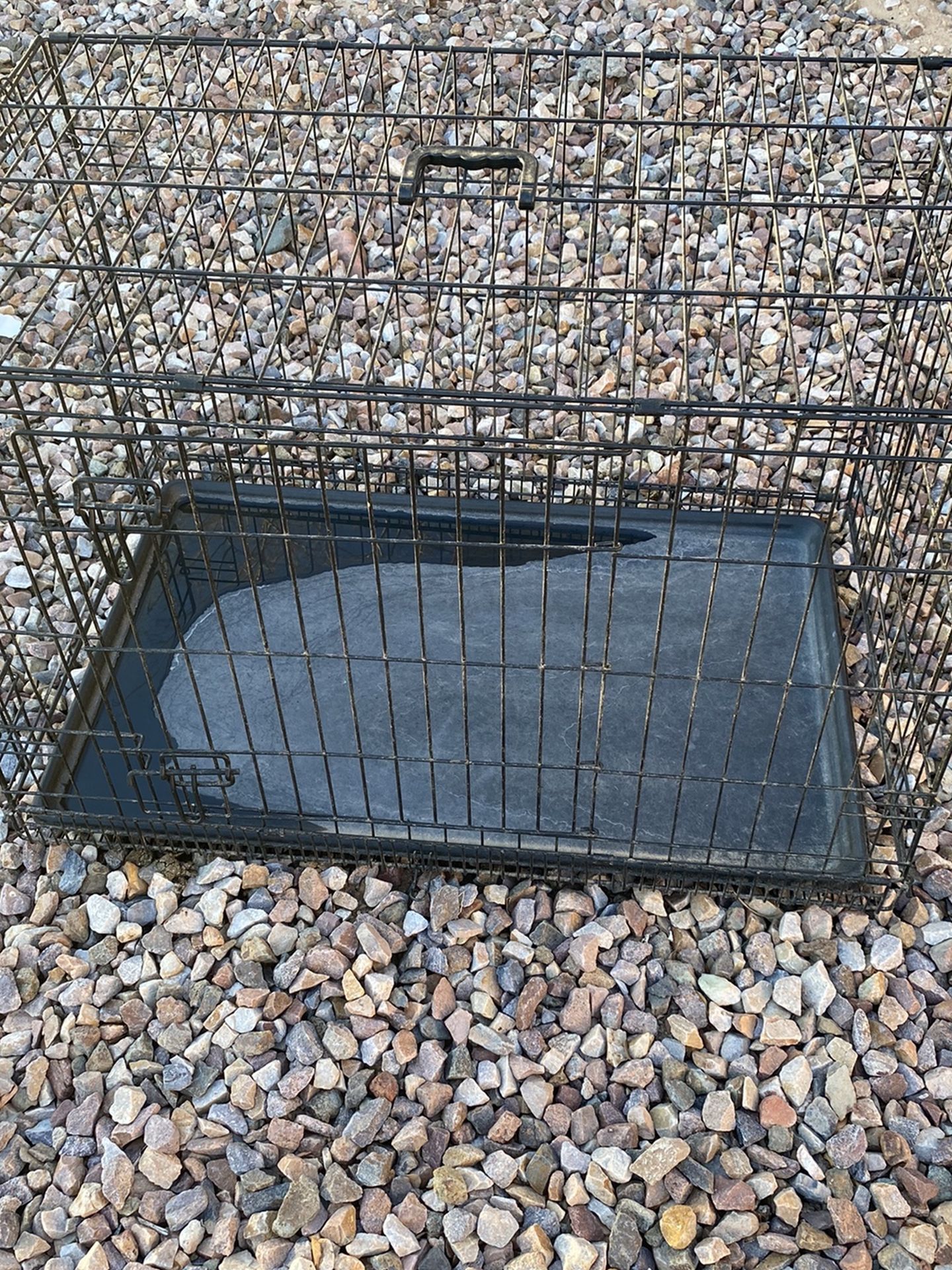 Large Dog Crate for Sale in Litchfield Park, AZ OfferUp