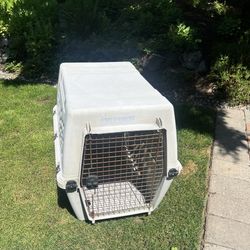 Dog Kennel
