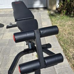 Sunny Weights Workout Bench 