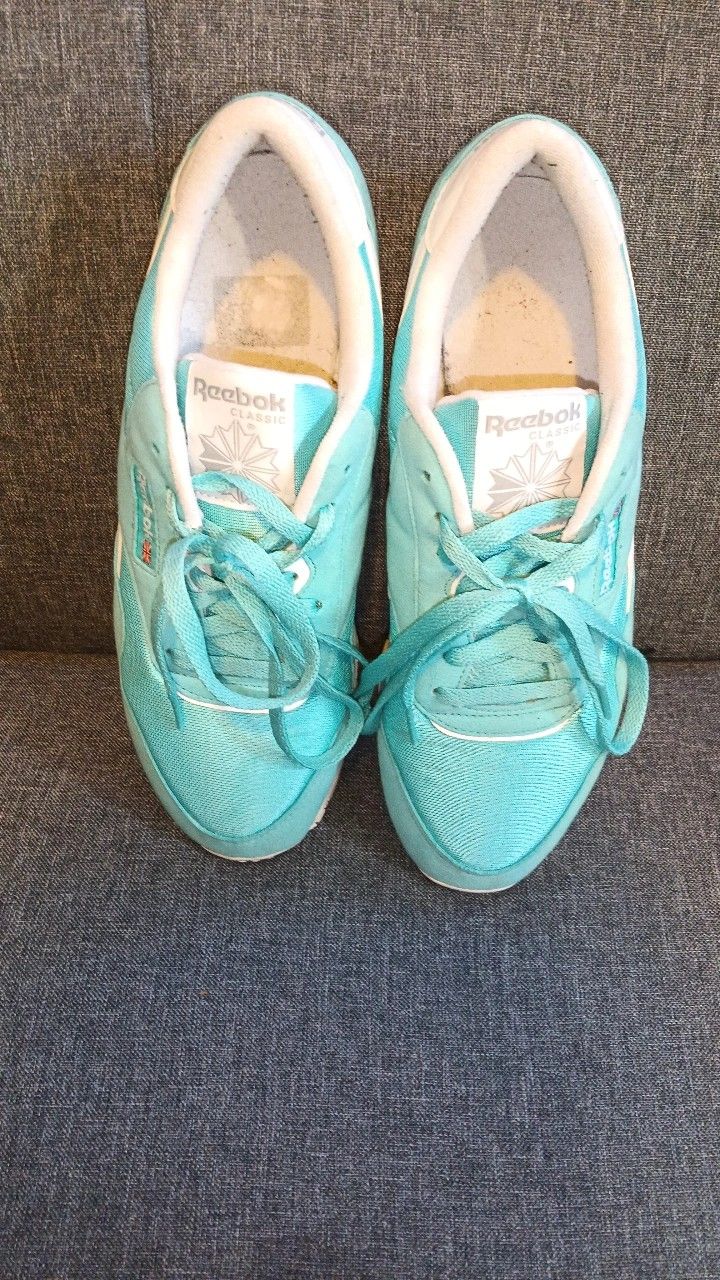 Reebok Classic Nylon In Turquoise Colorway