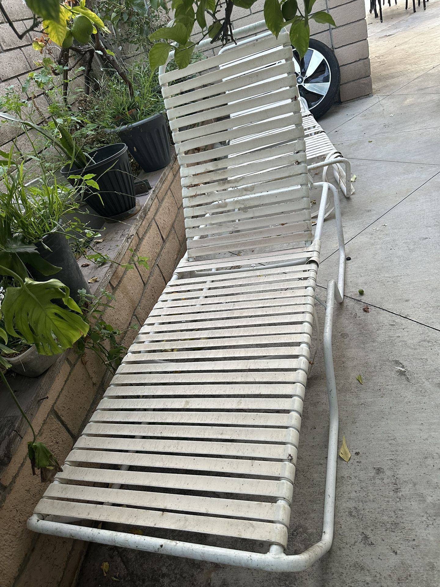 Free Lounge Chairs Deck Chairs Loungers