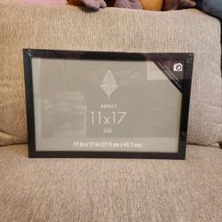New 11x17 Frame