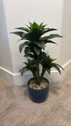 Artificial Dracaena Plant in Blue Ceramic Pot