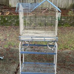 Birds Cage