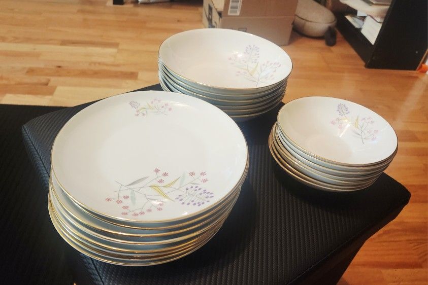 X21 Vintage Fine Bohemian China Dishes