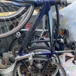 Carbon Especialized Road Bike