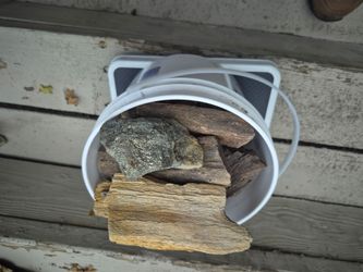 A great deal on PETRIFIED WOOD