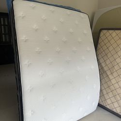 Full Size Mattress & Bone
