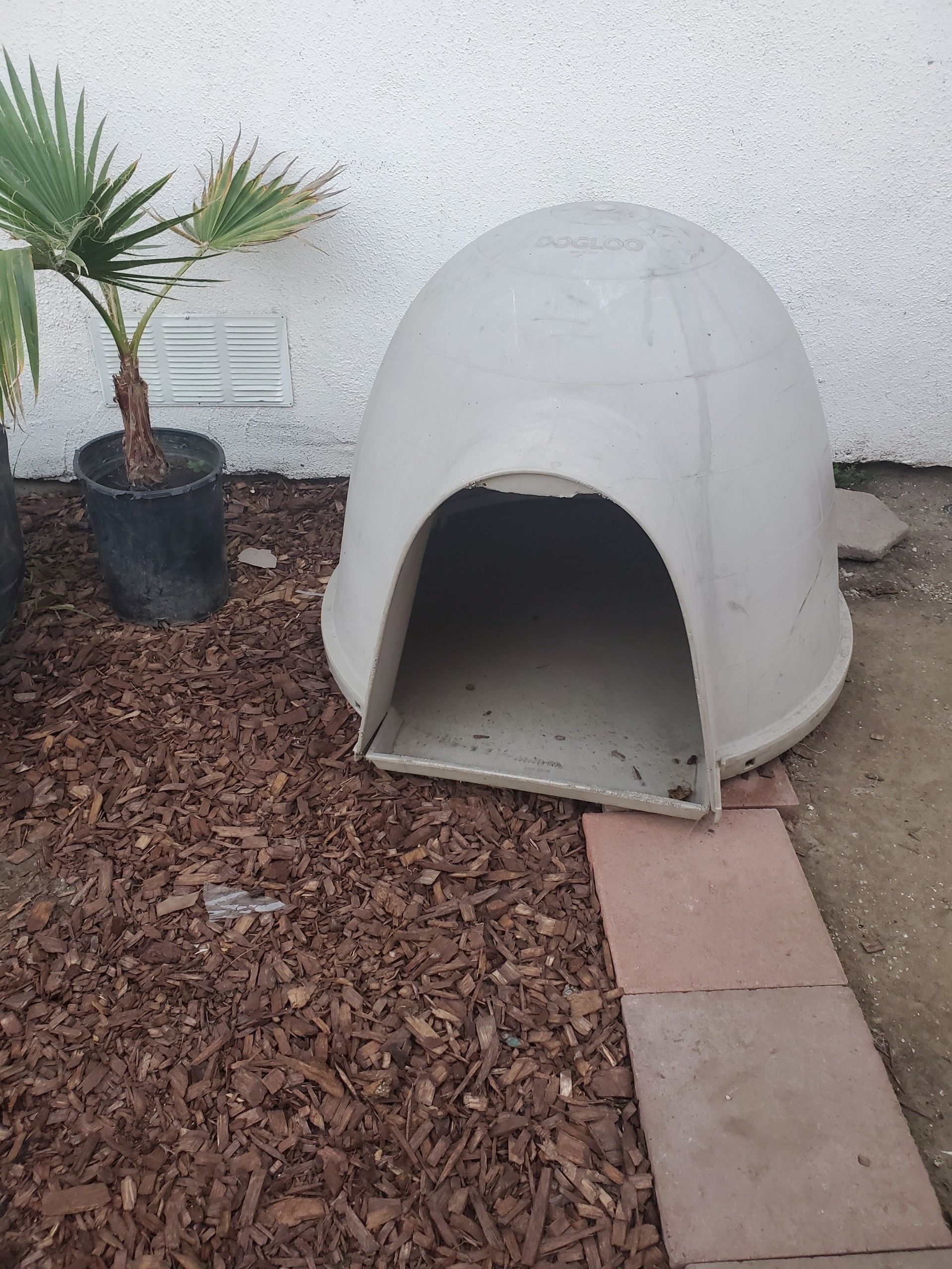 Dog house