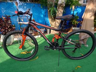 Mongoose Adult Mountain Bike