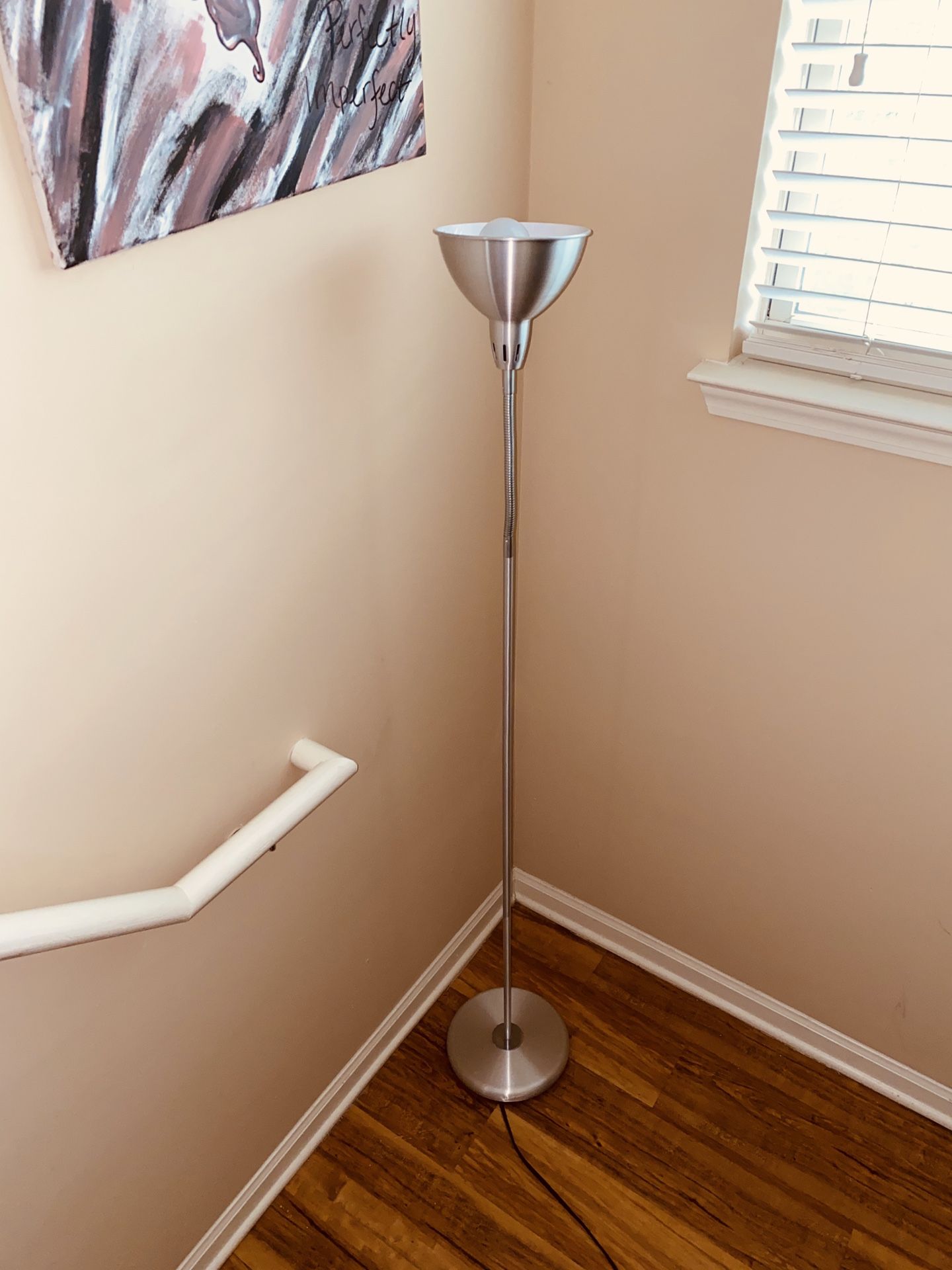 Aluminum Gooseneck Adjustable floor lamp