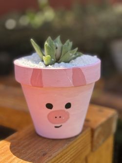 Succulent
