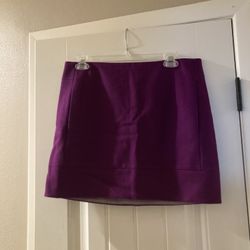 J.crew Skirt