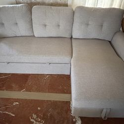 Sectional Sofa with Storage & Pull-Out Bed