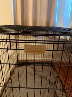 Large dog crate