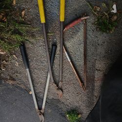Tree Trimming Tools
