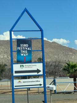 Same Same But Different festival.  SSBD.