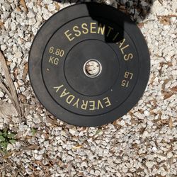 25 &  15  POUND  WEIGHT DISK - & ONE  25  POUND DISK - I HAVE 2 - $10  EACH