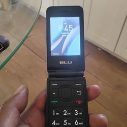 Brand New Flip Phone Company's Name Blue It's Already On And Ready To Be Used Unlimited You Can Call Anybody