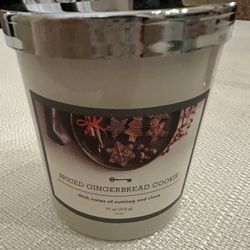 New Spiced Gingerbread Cookie Candle By Threshold