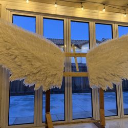 Backdrop Wings