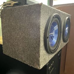 Pioneer Speaker
