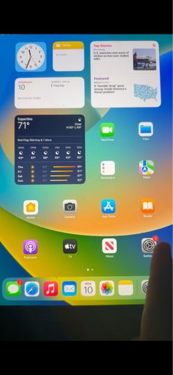 iPad