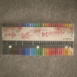Brand New Dual Brush Pens