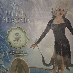Disney Little Mermaid Ursula Halloween Costume