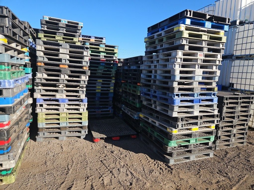 Polly Pallets