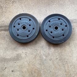 Weider Standard Plate 15( 2 Items)