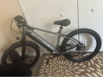 Electric bike