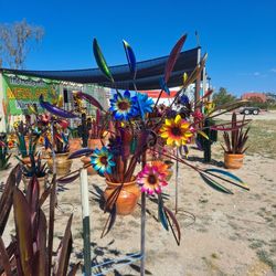 Metal Yard Art, Wind Spinners & POTTERY 🌴 🌺 