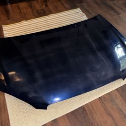 2005 Toyota Matrix Hood