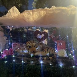 Valentine’s Day Gifts