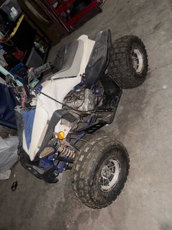 TAO 125 Quad