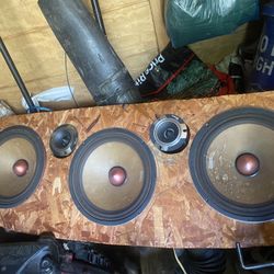 2 X 10” Ds18 Speakers