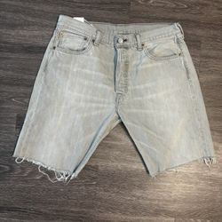 Gray Levi Shorts