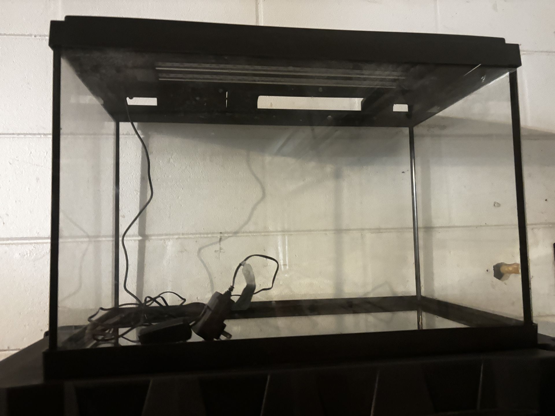 Tropical Fish tank (20 gallon)