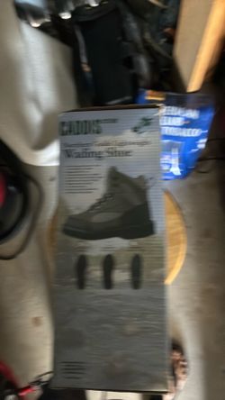 Wading shoes