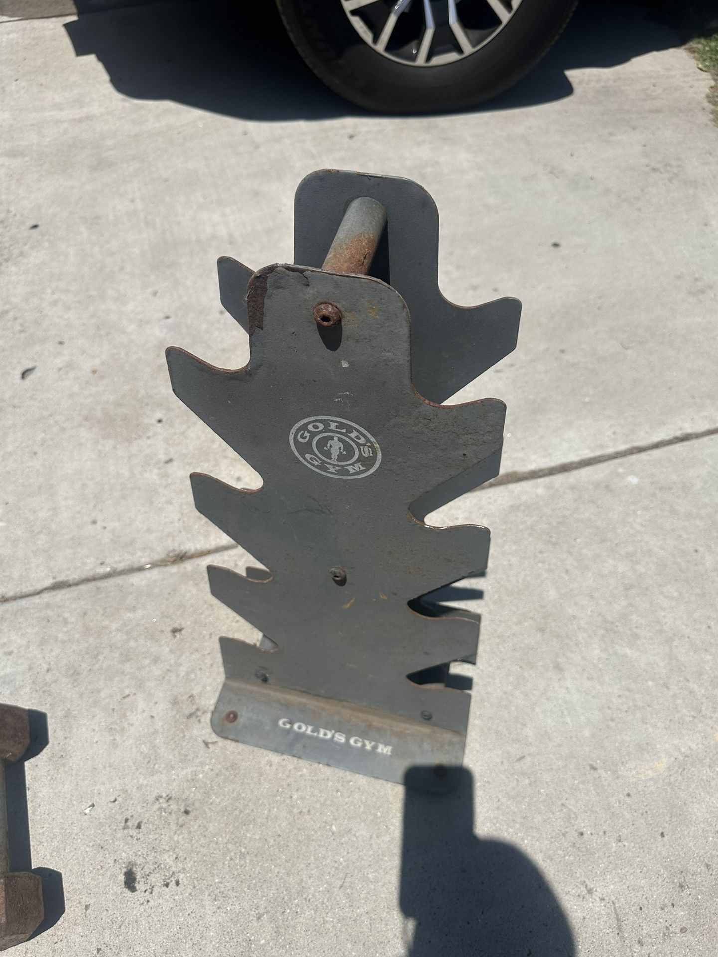 Gold Gym Dumbbell Rack