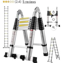 16.5' Telescope Ladder