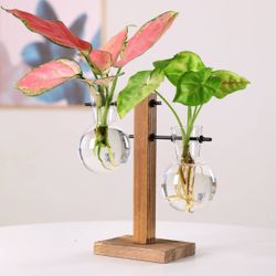 Wood Frame Hydroponic Plant container 