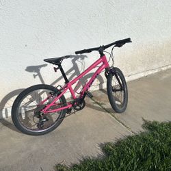 20” Pink Kids Trek Bike