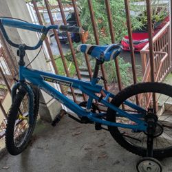 Kids Bicycle Blue With Training Wheels