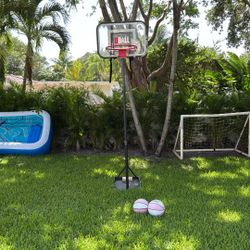 U-Ball Basketball Hoop