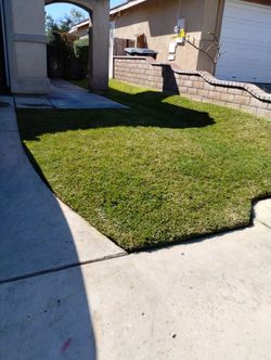 Gardener