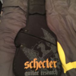 Schecter guitar bag - $60